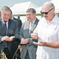 Александр Лукашенко прямо в поле дал ответ на вопрос: кто лучше работает с землёй. Фото: БЕЛТА
